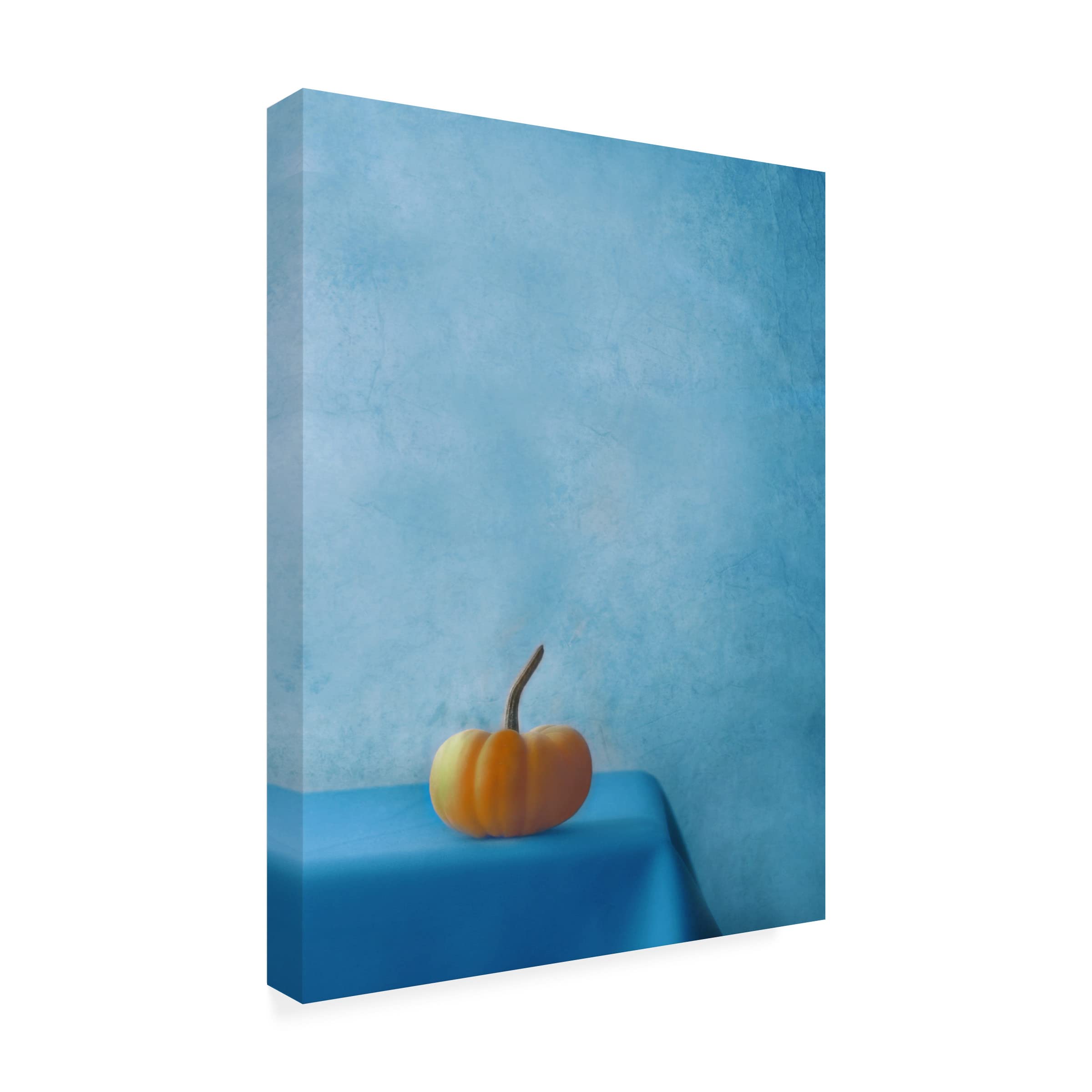 Trademark Fine Art 'Pumpkin On Blue' Canvas Wall Art Print by Delphine Devos - Modern Home Decor for Living Room, Bedroom & Office