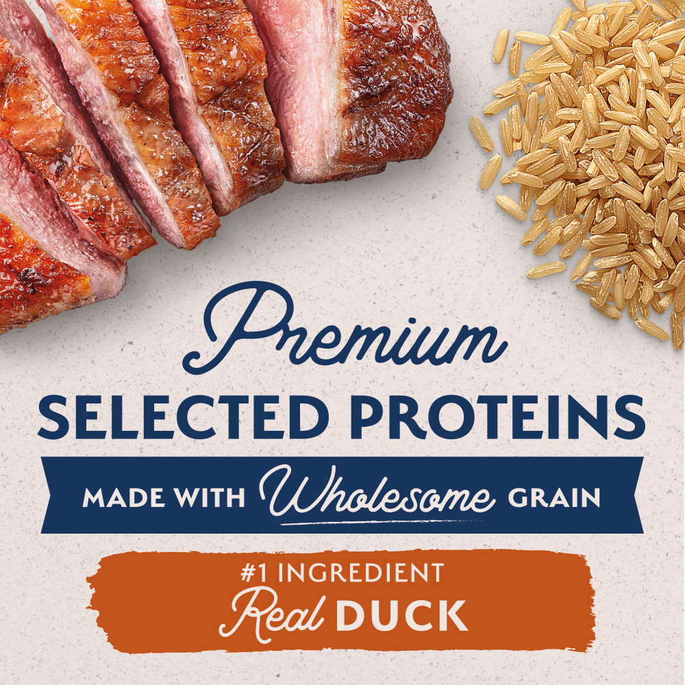 Natural Balance Limited Ingredient Reserve Duck & Brown Rice Recipe Dry Dog Food - Grain-Free, Hypoallergenic Dog Food for Sensitive Stomachs - Perfect for Adult Dogs with Allergies or Digestive Issues
