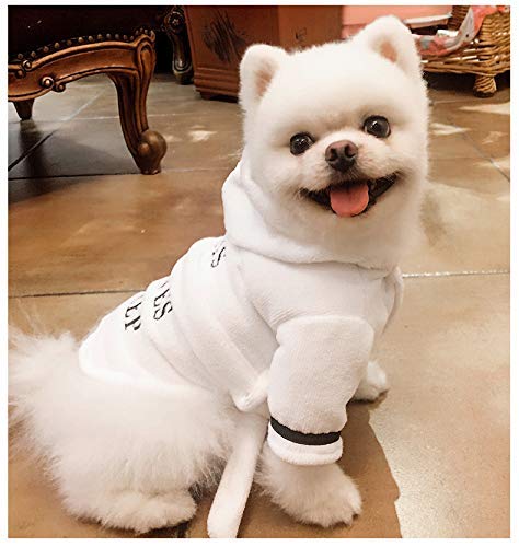 Premium Dog Bathrobe - Soft & Warm Quick-Drying Pet Towel Coat for Small Dogs & Cats (White, Size S) - Perfect for Post-Bath, Winter Warmth & Cozy Lounging