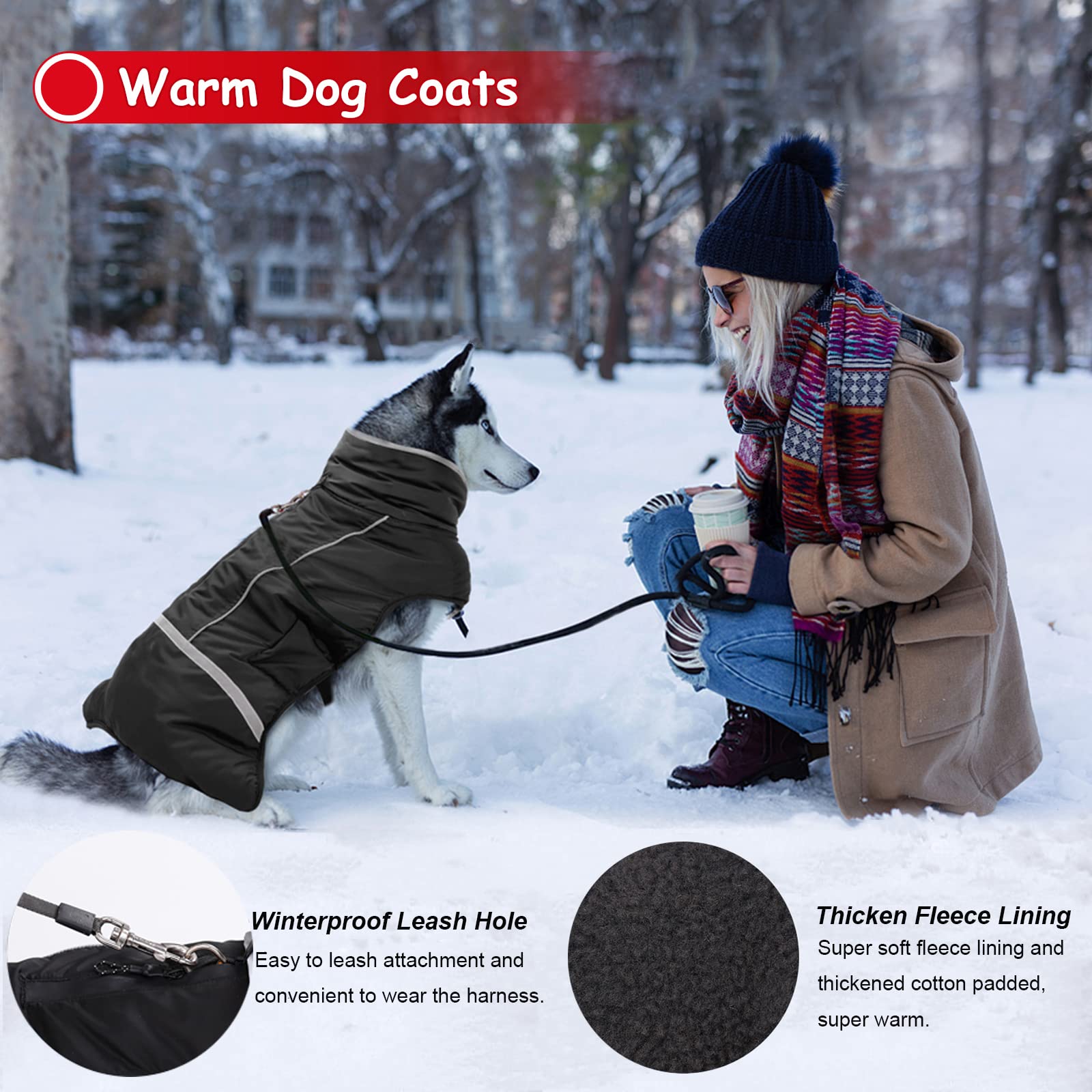 Dogcheer Waterproof & Windproof Dog Coat - Adjustable Winter Jacket with Reflective Strips & Buckle for Small, Medium, Large Dogs (Black, Size M) - Ideal for Cold Weather, Snow Adventures & Night Walks