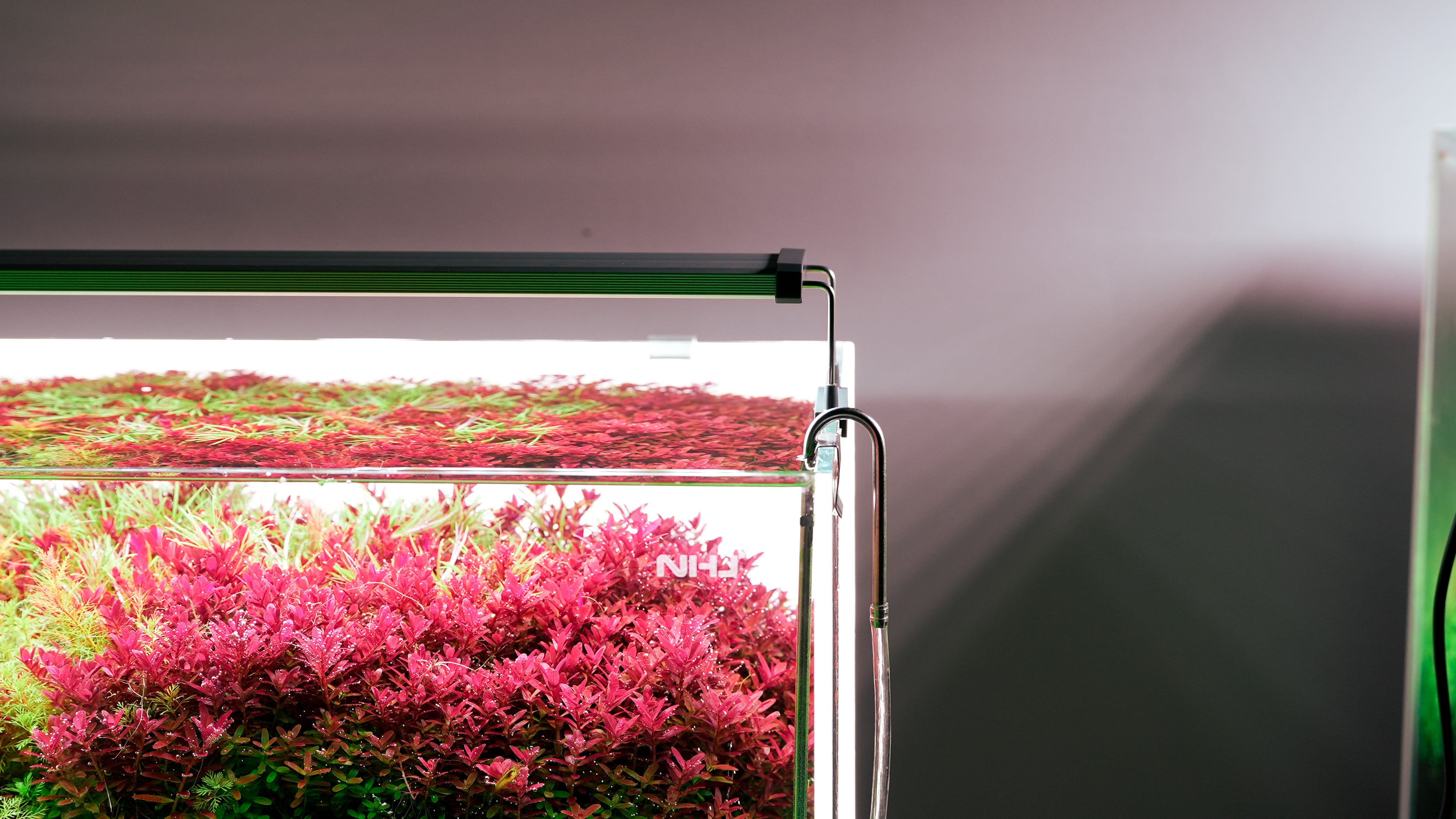 Chihiros B Series LED Aquarium Light - Energy Efficient Full Spectrum LED for Planted Tanks & Reef Aquariums - Perfect for Freshwater & Saltwater Fish Tanks, Aquatic Plants, and Coral Growth