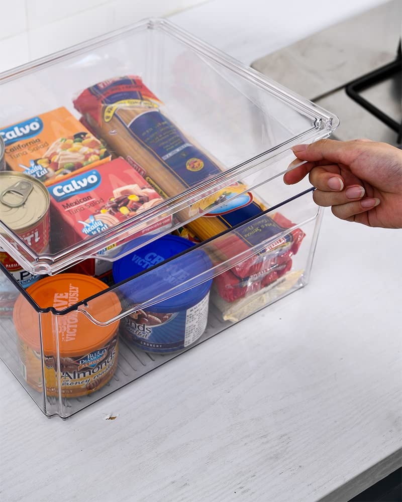 Stackable Clear Refrigerator Organizer Bins with Lids - 10-Piece Set of 3 Sizes for Fruits, Vegetables & Food Storage | Perfect for Fridge, Pantry & Countertop Organization
