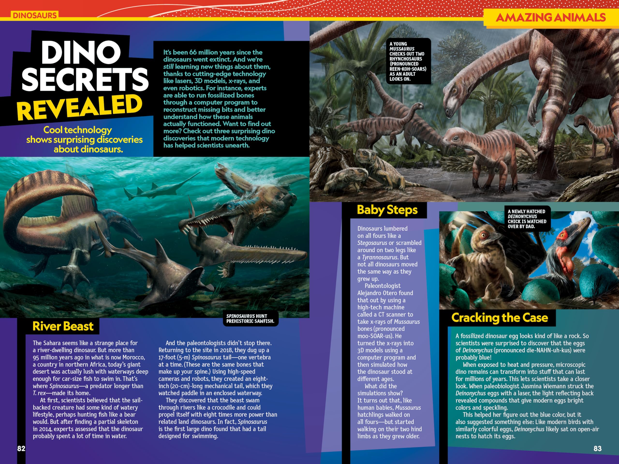 National Geographic Kids Almanac 2025 - Fun Facts & Educational Book for Children | Perfect for Homeschooling, Classroom Learning & Gift Giving