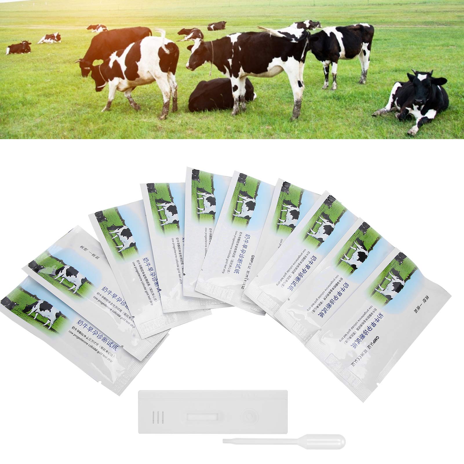 Cow Pregnancy Test Strips - 10Pcs Early Detection Kit for Cattle Pregnancy Diagnosis | Veterinary Supplies for Livestock Breeding | Farm & Ranch Use
