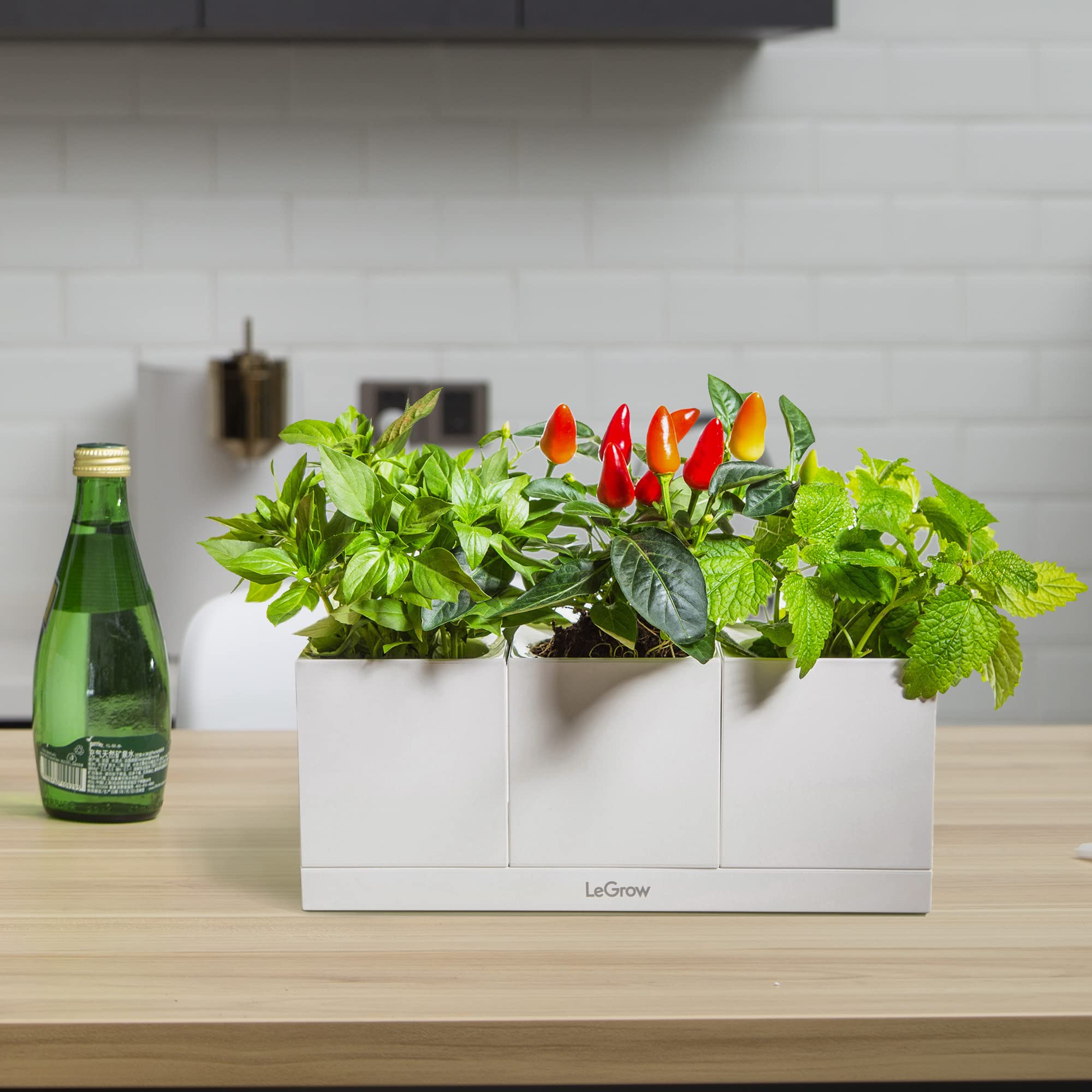 LeGrow Smart Garden Indoor Planter Starter Kit - 3 Patented Design Self-Watering Plant Pots with Water Holding Base Tray for Herbs, Flowers & Vegetables - Perfect for Home, Office & Kitchen Gardening (Plants Not Included)