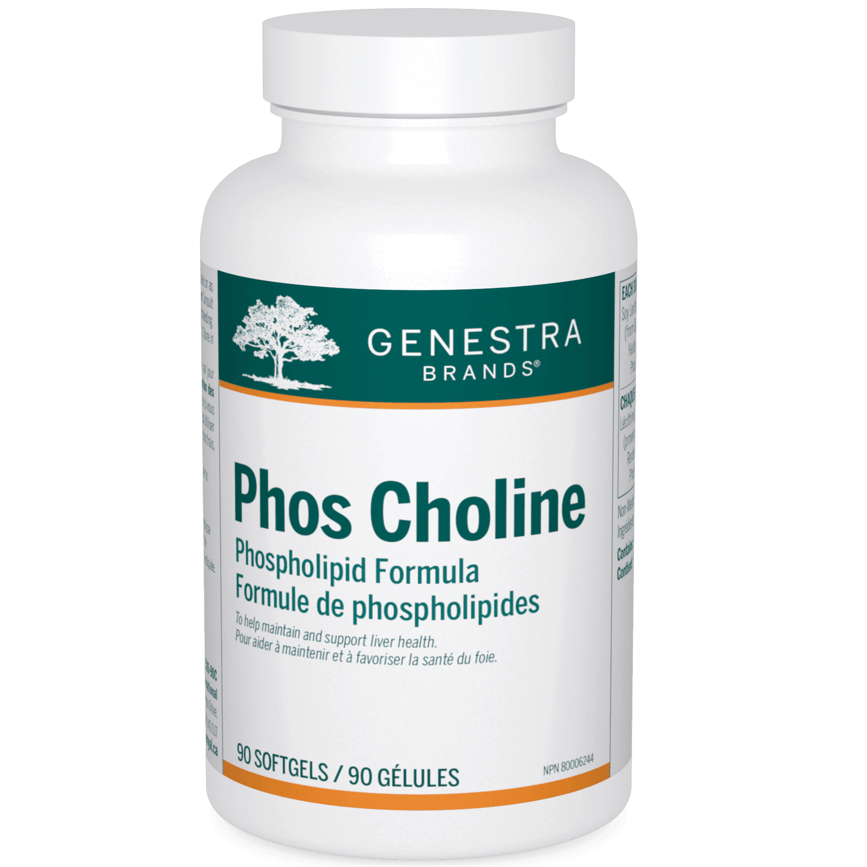 Genestra Phos Choline 90 Softgel Capsules - Premium Brain & Liver Support Supplement for Enhanced Cognitive Function & Liver Health - Ideal for Students, Professionals & Seniors
