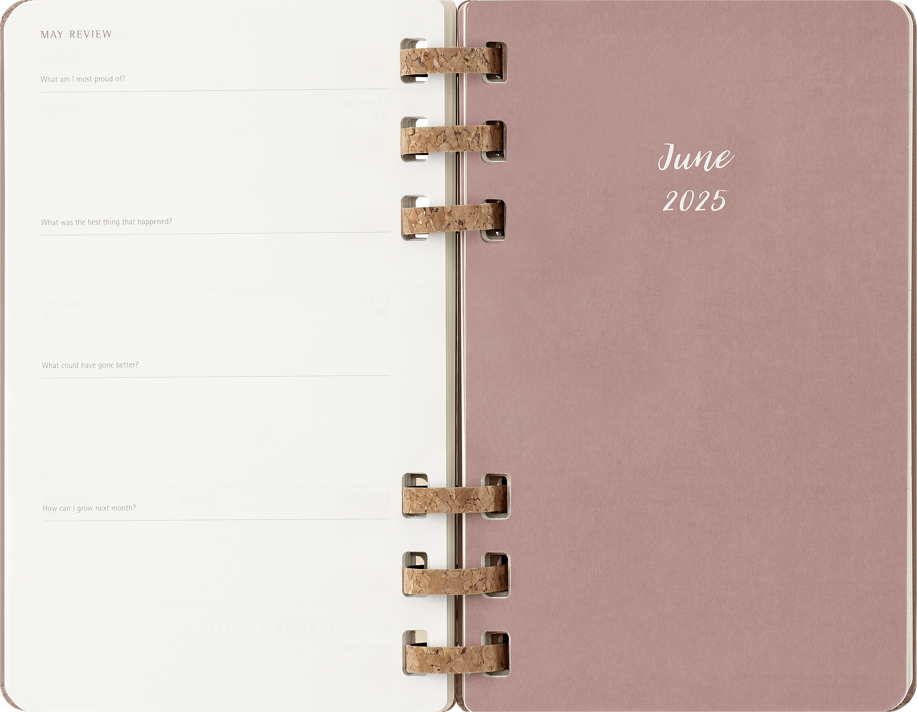 2025 Moleskine 12-Month Spiral Bound Planner - Hard Cover, 5.1