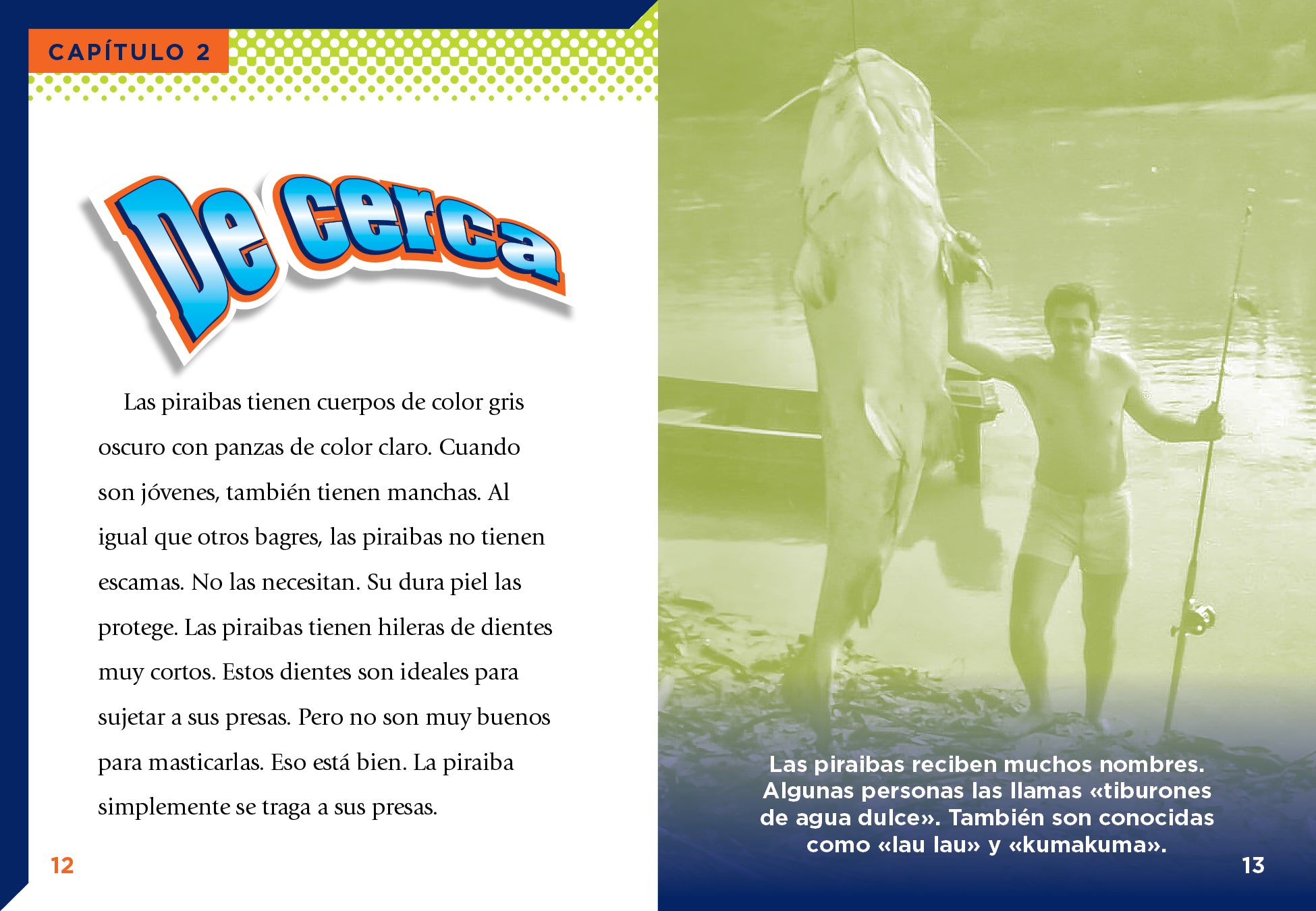La Piraiba Book - 9781644666524 - Adventure Novel for Outdoor Enthusiasts & Travel Lovers
