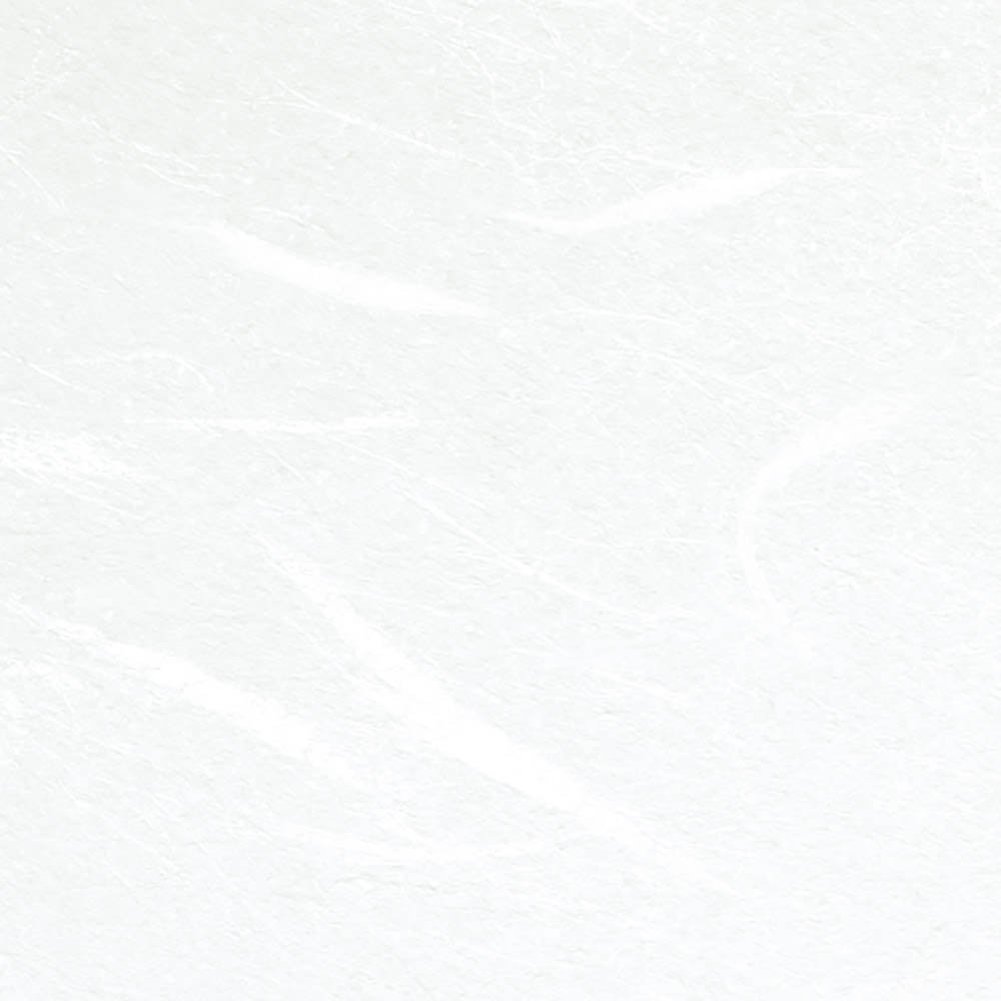 Kokuyo KB-W119W A4 Tairei Paper for PPC - Premium Japanese Import for Office Printing & Document Archiving