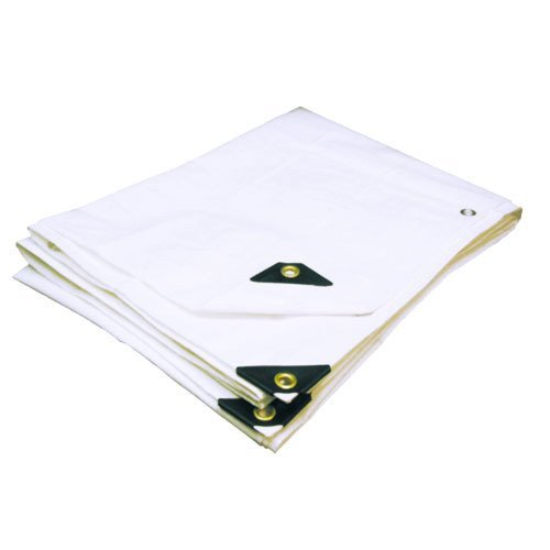 24'X36' Heavy Duty 12 Mil White Tarp - 3 Ply Coated Reinforced Canopy Cover, 6 oz 3 Layer Waterproof Tarp with Grommets (Includes Tools & Maintenance Guide) - Perfect for Camping, Construction, Roof Protection & Outdoor Storage