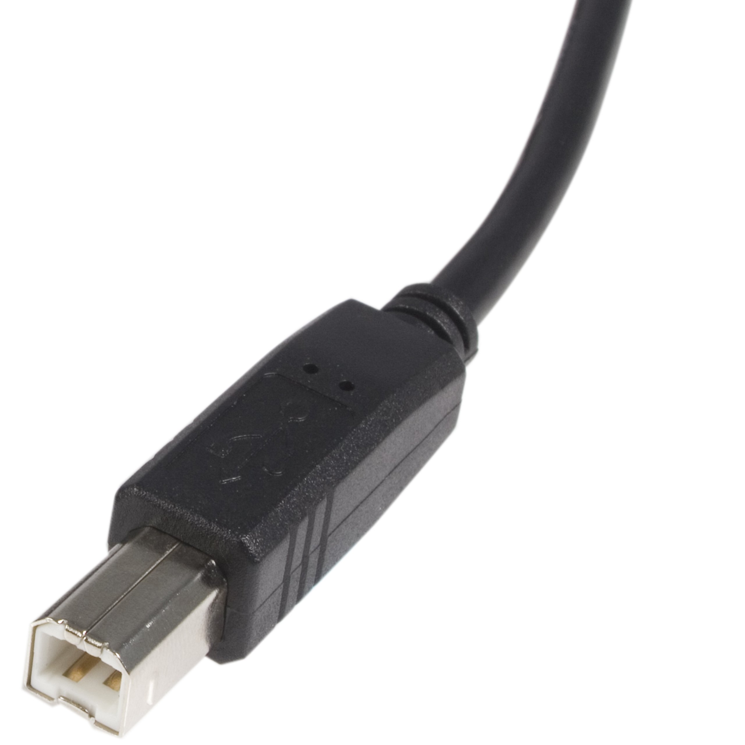 StarTech.com 1ft USB 2.0 A Male to B Male Cable - High Speed Data Transfer - Black (USB2HAB1) - Perfect for Printers, Scanners & External Hard Drives