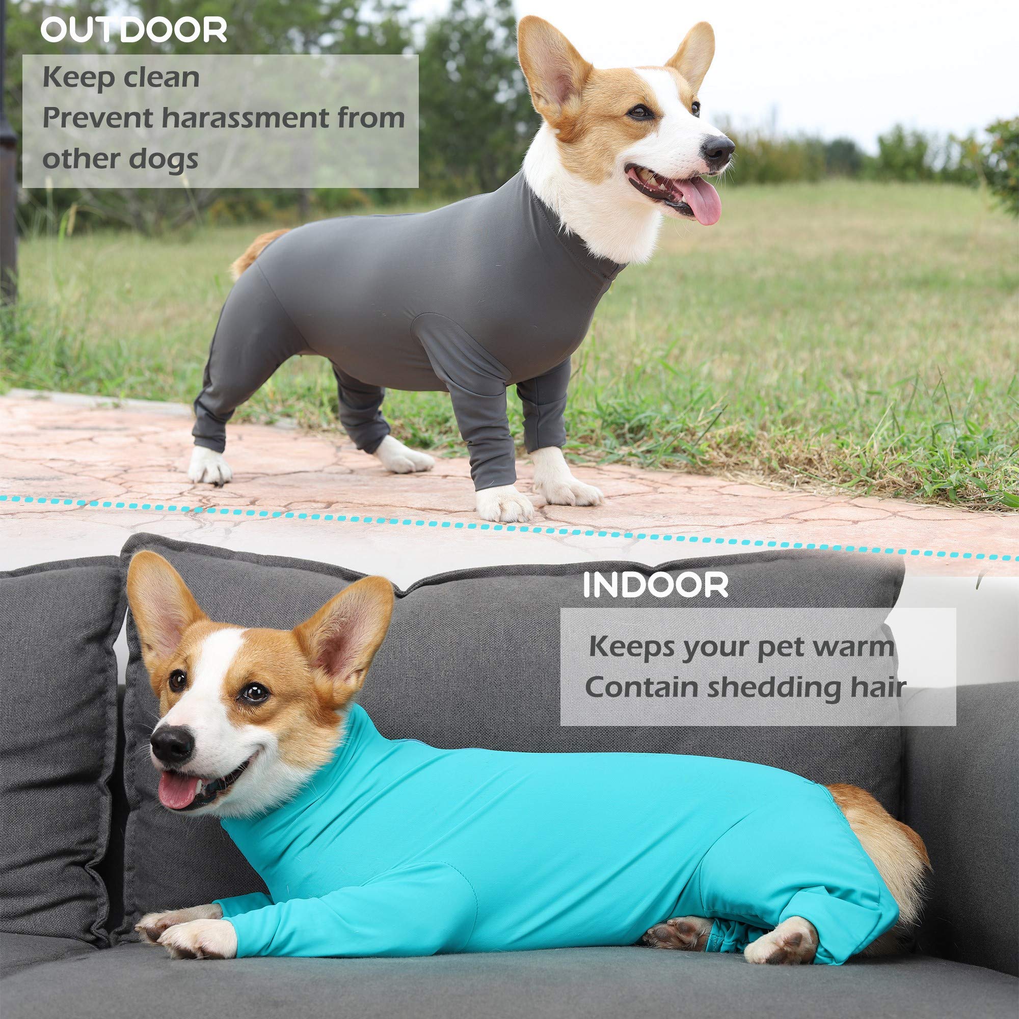 Post-Surgery Dog Recovery Onesie - Adjustable Pet Surgical Suit for Small, Medium & Large Dogs | Male & Female Neutering Anxiety Relief | Calming Pajamas for Post-Op Care, Wound Protection & Comfort at Home
