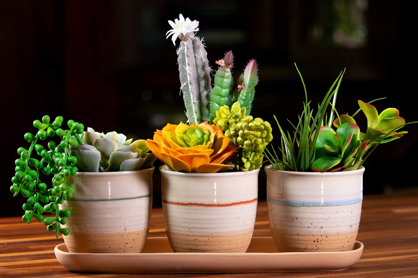 Cannon Drip 3 Planters with Tray - Self-Watering Flower Pots for Indoor Plants, Succulents & Herbs - Perfect for Home, Office & Garden Decor