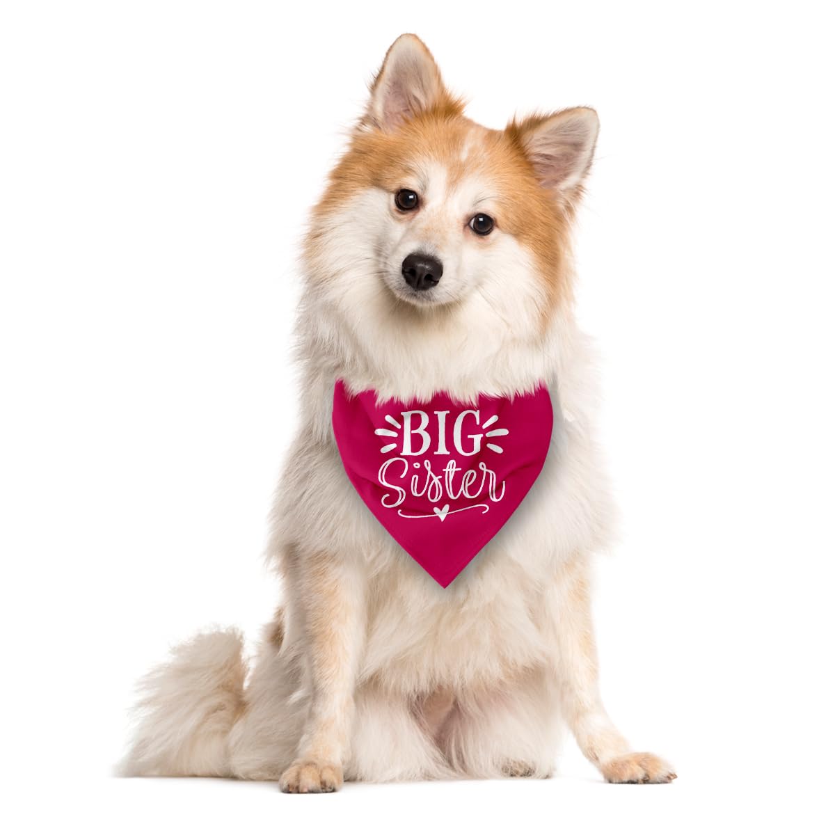 Big Sister Dog Bandana - Deep Pink Pet Scarf for Small & Medium Dogs | Adjustable Triangle Bandana for Puppies | Pet Accessories for Baby Announcement & Special Occasions | Perfect for Birthdays, Photo Shoots & Family Events