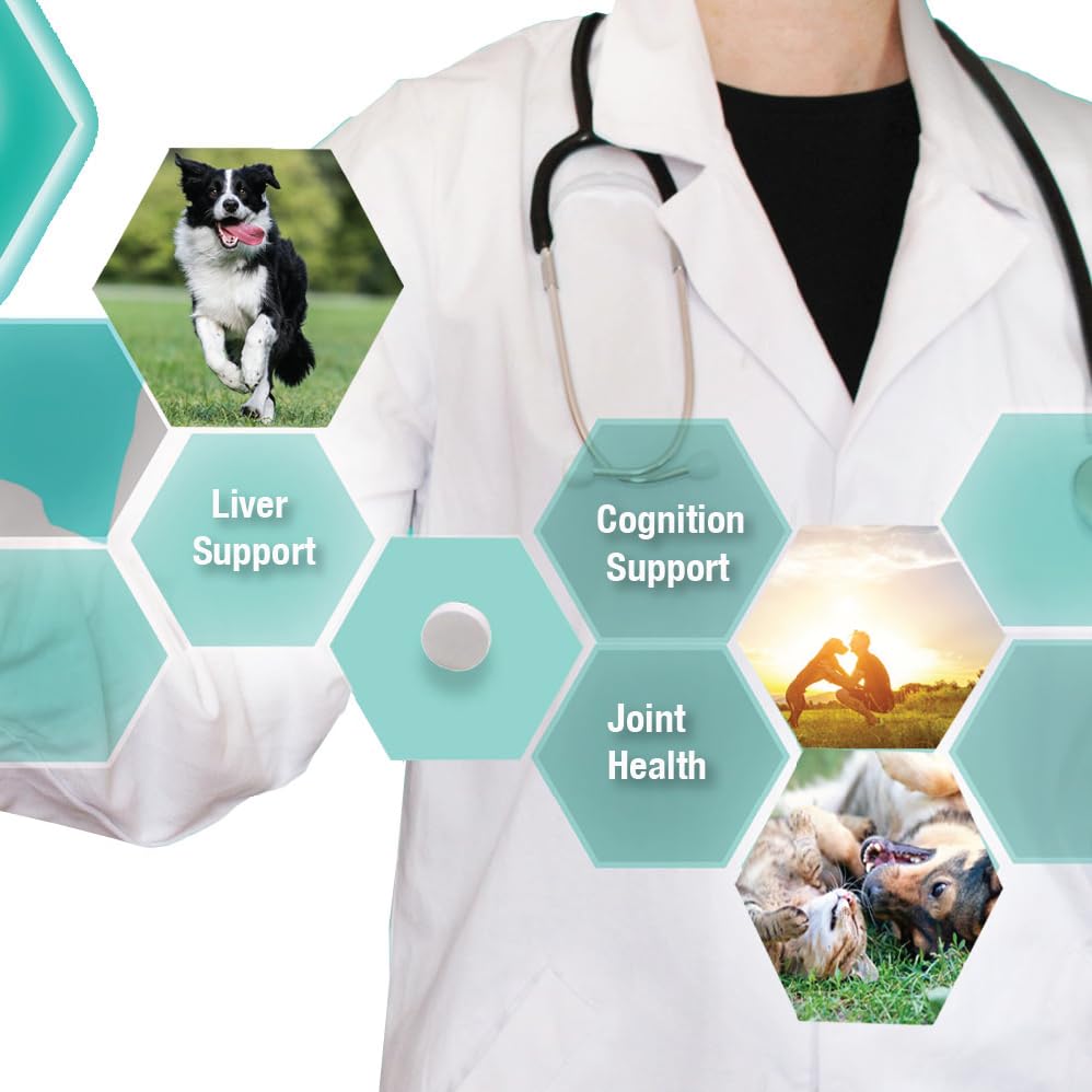 Vet-Approved S-Adenosyl-L-Methionine (SAMe) 200mg Tablets for Dogs - Liver Support, Joint Health & Cognitive Function - Promotes Brain Function & Mobility - 60 Tablets (3 Pack) - Ideal for Senior Dogs & Pets with Liver Issues