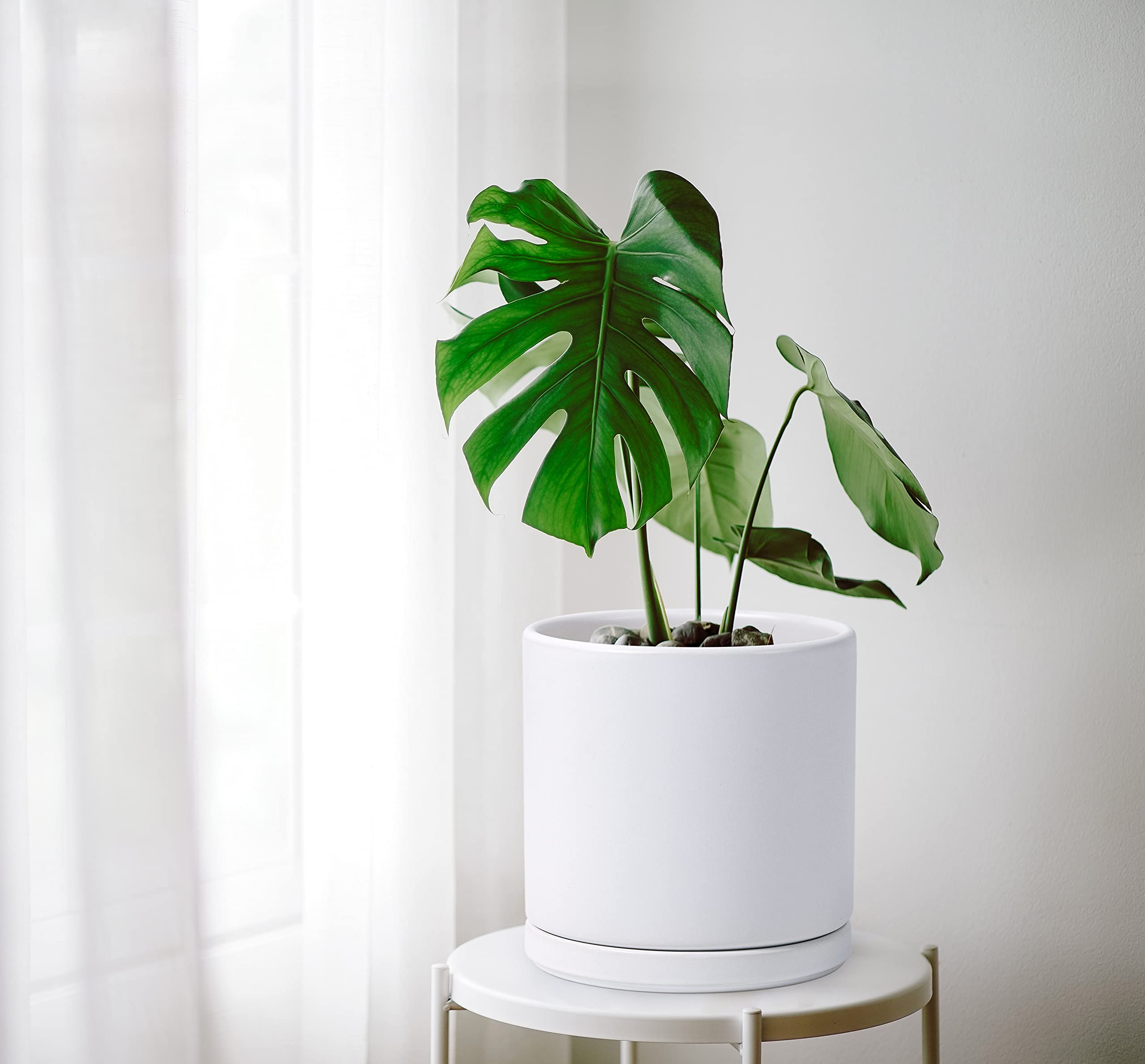 8 & 10 Inch White Ceramic Plant Pots with Drainage Hole & Saucer - Large Flower Planters for Indoor Outdoor Home Garden Decor - D'vine Dev Set of 2 (94-G-L-1)