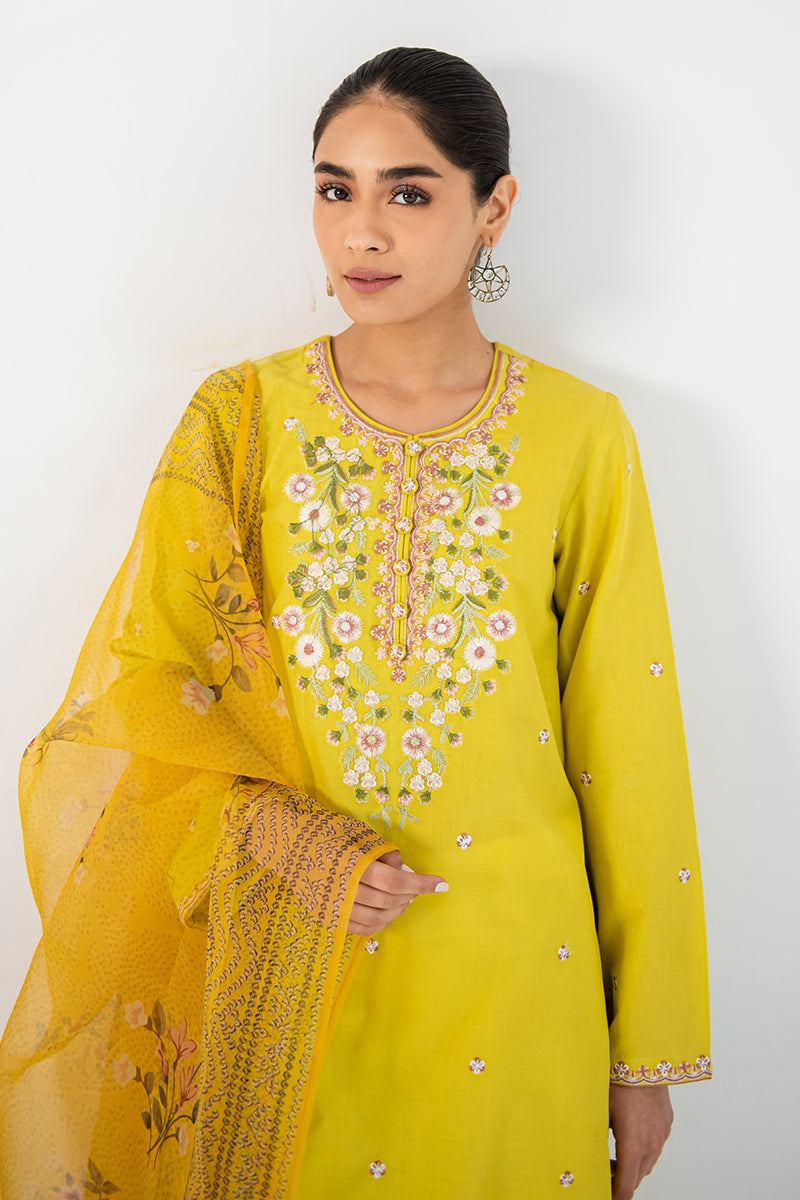 Amber Glow 2-Piece Outfit Set (Shirt & Dupatta) - Elegant Ethnic Wear for Women | Perfect for Weddings, Parties & Festive Occasions