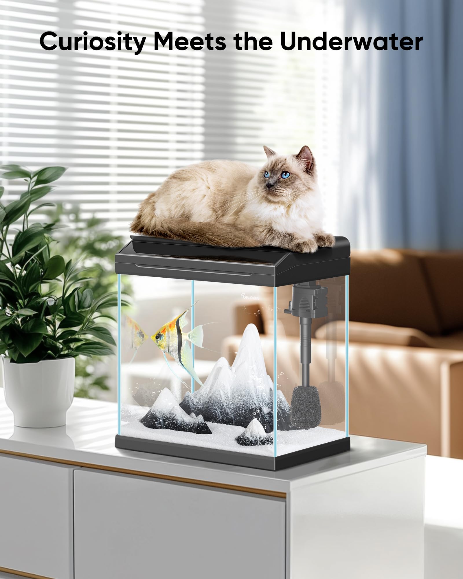 4 Gallon Low-Iron Glass Fish Tank with LED Light & Filter - Perfect for Betta Fish & Beginners