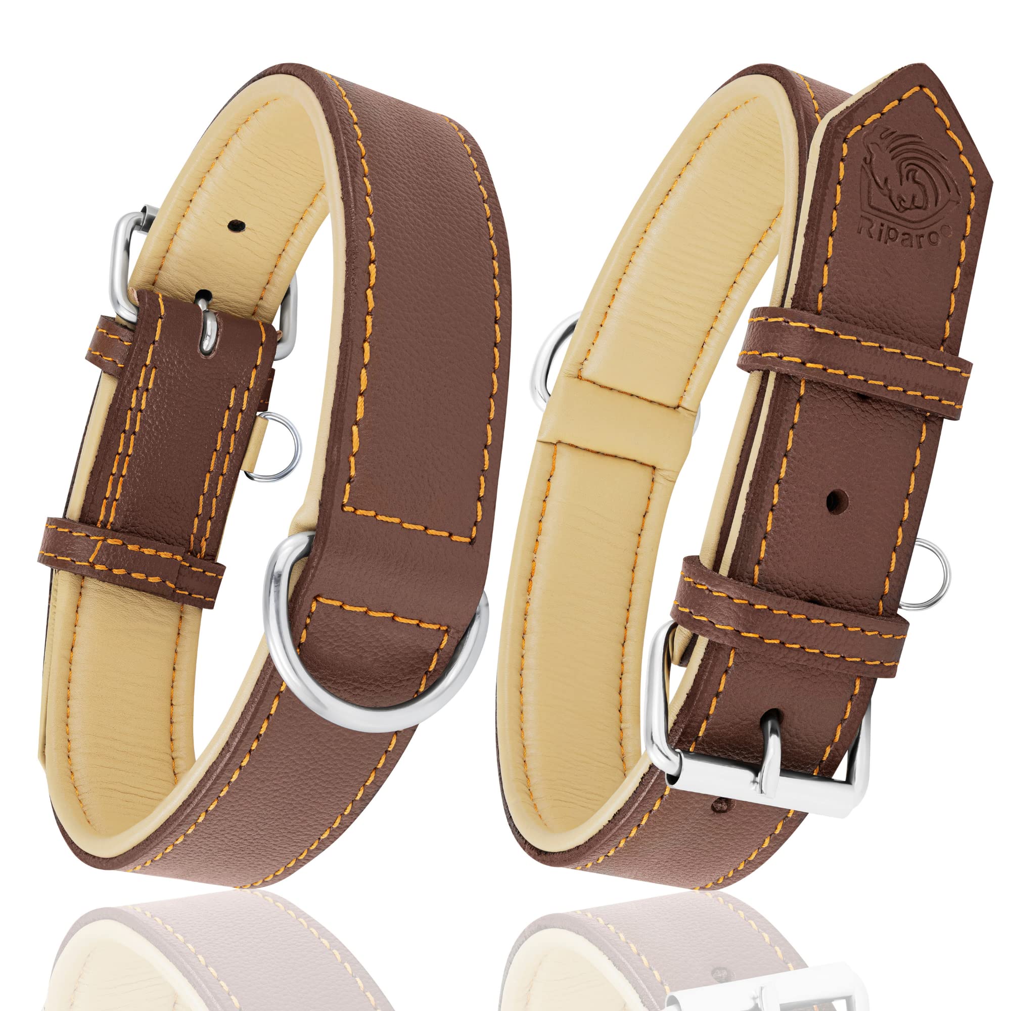 Premium Genuine Leather Dog Collar for Medium Dogs - Adjustable 13.5