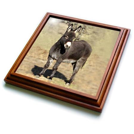 3D Rose Miniature Donkey Ceramic Tile Trivet - 8x8 Inch Brown Heat Resistant Coaster for Kitchen, Dining Table, and Home Decor