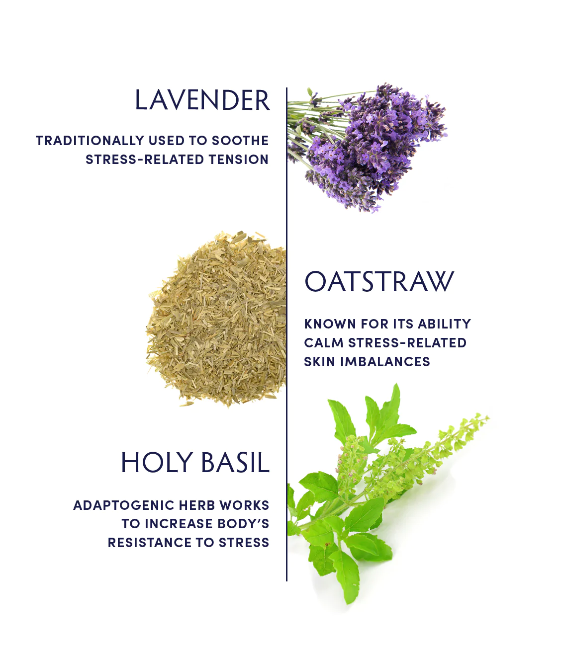 Naturopathica Schisandra & Chamomile Adaptogenic Stress Relief Tea - Herbal Relaxation Blend for Anxiety Relief & Better Sleep - Perfect for Evening Relaxation & Stress Management