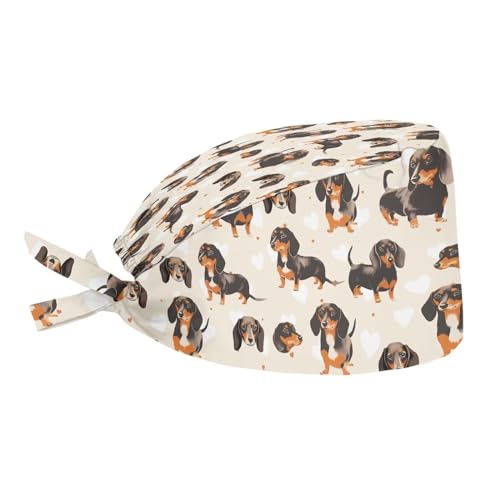 Dachshund Dog