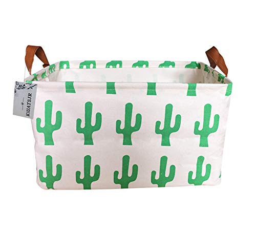 Grren Cactus