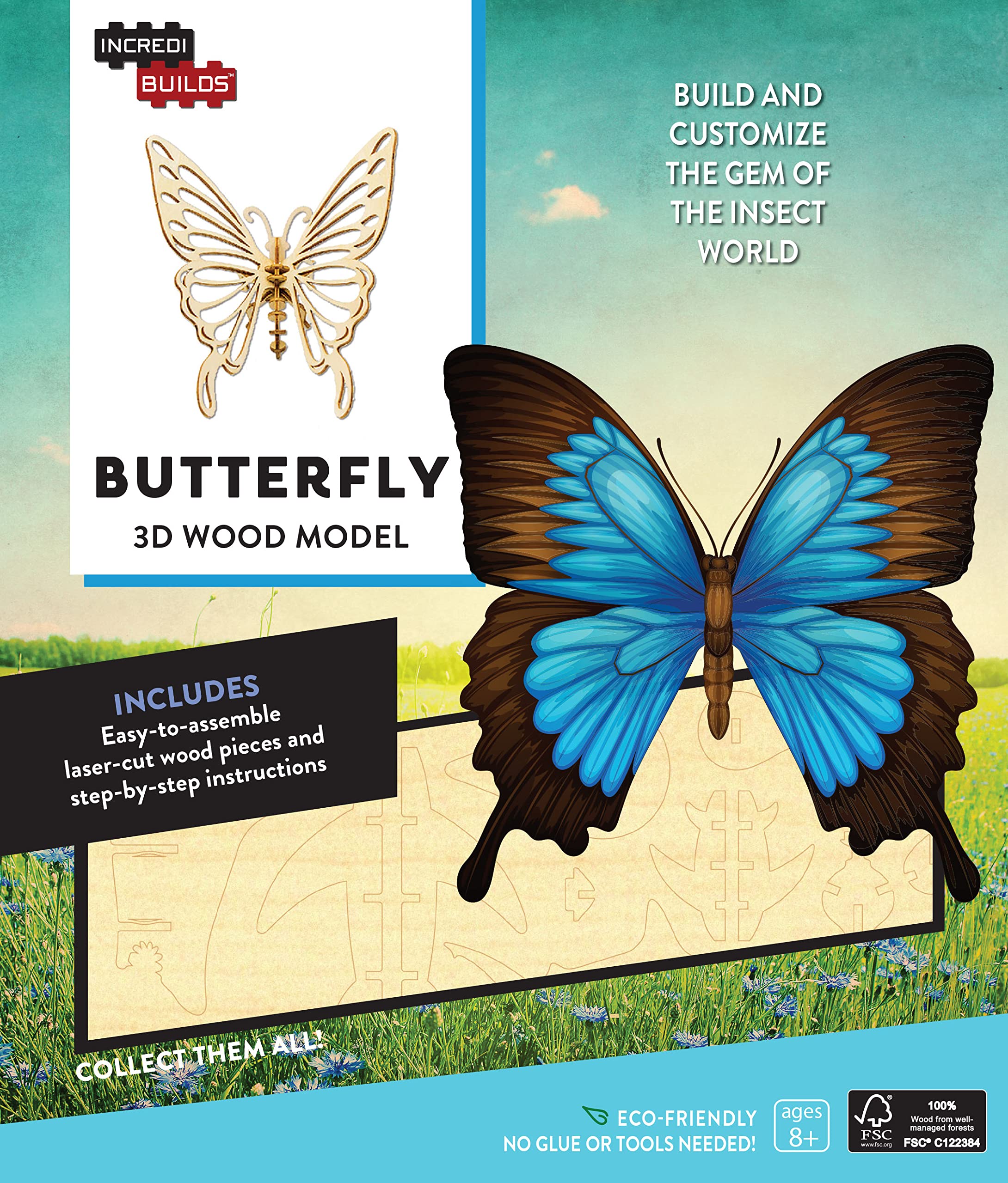 IncrediBuilds: Butterfly 3D Wood Model Kit - DIY Wooden Puzzle for Kids & Adults - Home Decor & Educational STEM Toy for Classroom, Birthday Gift & Craft Lovers