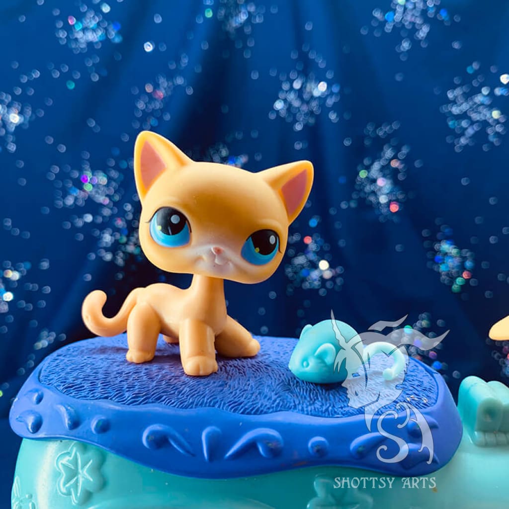 Curious Kitties Interactive Cat Toy Playset - Fun & Engaging Playtime for Indoor Cats - Perfect for Kittens & Adult Cats to Stimulate Hunting Instincts