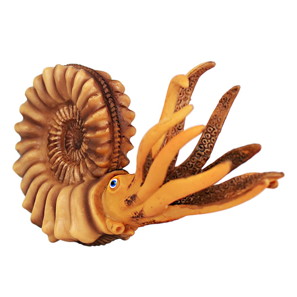 **HONMEET Nautilus Sea Animal Toy for Kids - Ocean Playset, Educational Marine Life Model for Girls & Boys - Perfect for Bath Time, Classroom Learning & Imaginative Play**