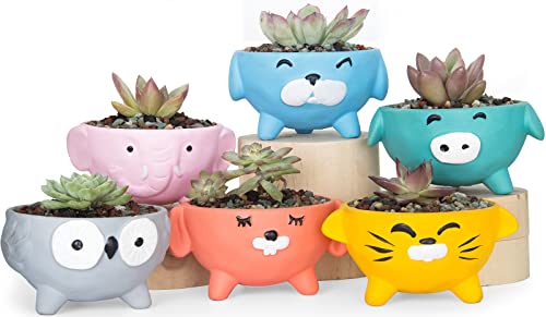 Elephant/Dog/Pig/Cat/Owl/Rabbit