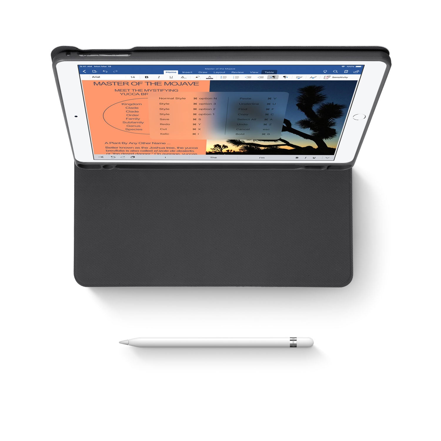 Premium iPad Folio Case - Ultra Thin Lightweight Protective Cover with Auto Sleep/Wake | Perfect for Work, Travel & Everyday Use