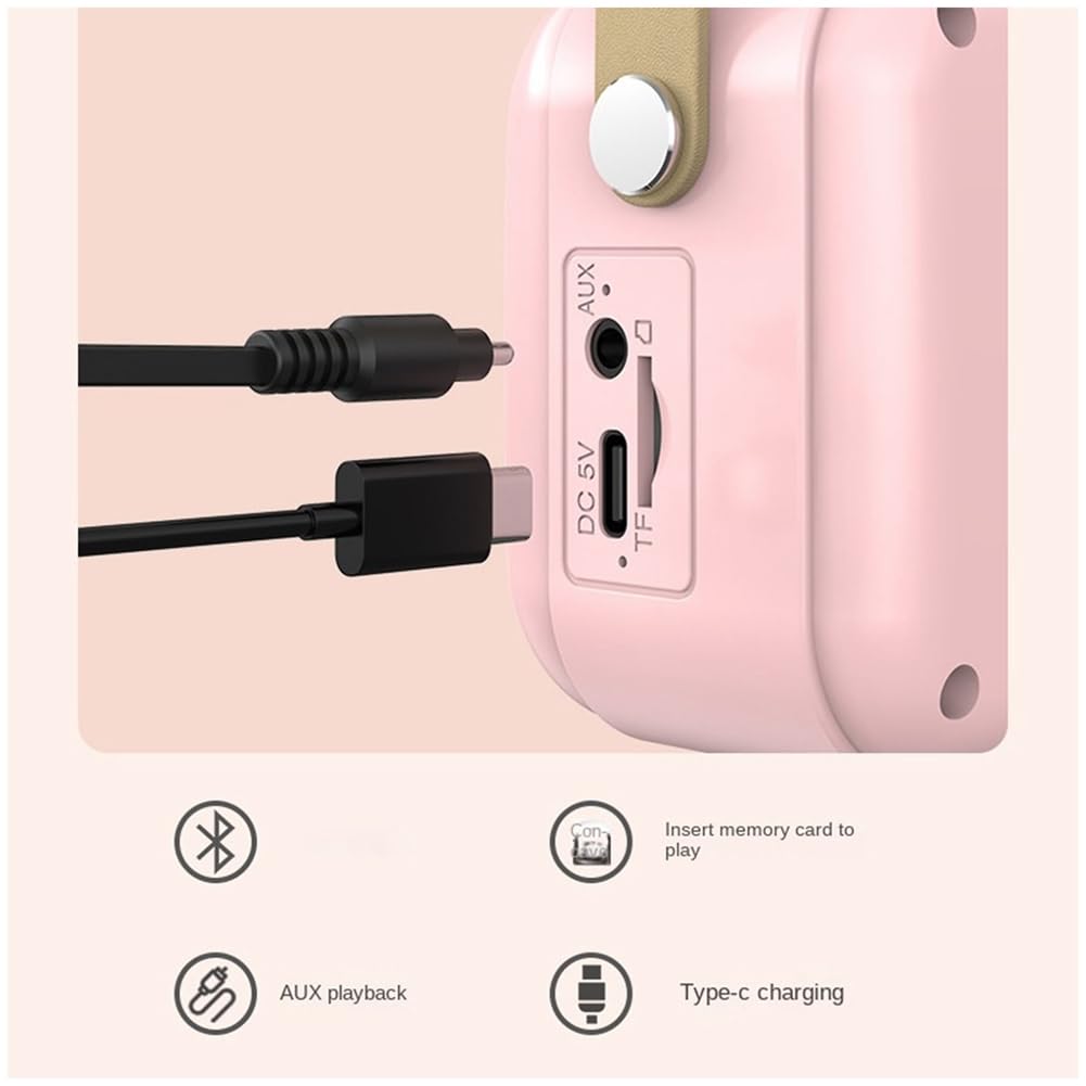 POLISH Family Outdoor Bluetooth Karaoke Speaker with Wireless Microphone - Portable High Volume Subwoofer for Kids (Pink) | Perfect for Birthday Parties, Camping & Family Gatherings