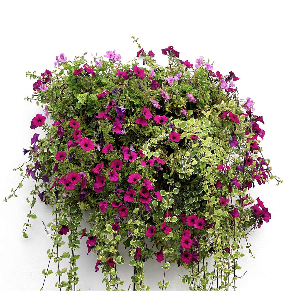 2PCS 18 Inch Half Round Hanging Basket Liners - 100% Natural Coconut Fiber Replacement Coco Liners for Wall Planters, Flower Pots & Garden Baskets - Perfect for Indoor/Outdoor Hanging Plants, Balcony Decor & Vertical Gardens