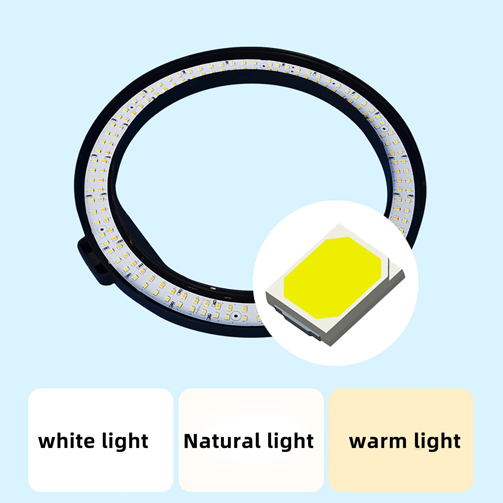 10 Inch Ring Light with Tripod Stand & Phone Holder - USB Powered Selfie Light for Photography, Video Recording, TikTok Live Streaming, Zoom Meetings - Perfect for Content Creators, Vloggers & Home Office Use