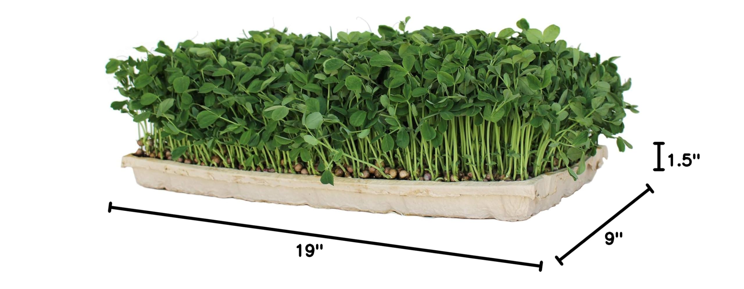 **Eco-Friendly Compostable Microgreen Growing Trays - 10 Pack Biodegradable Seed Starter Flats with Drain Holes - Fits Standard 10x20 Drip Trays | Perfect for Indoor Gardening, Hydroponics & Sustainable Farming**