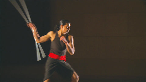 Authentic Kalaripayattu Training DVD - Traditional Indian Martial Arts Instructional Video by Calicut Nadakkav | Learn Self-Defense, Fitness & Cultural Heritage at Home