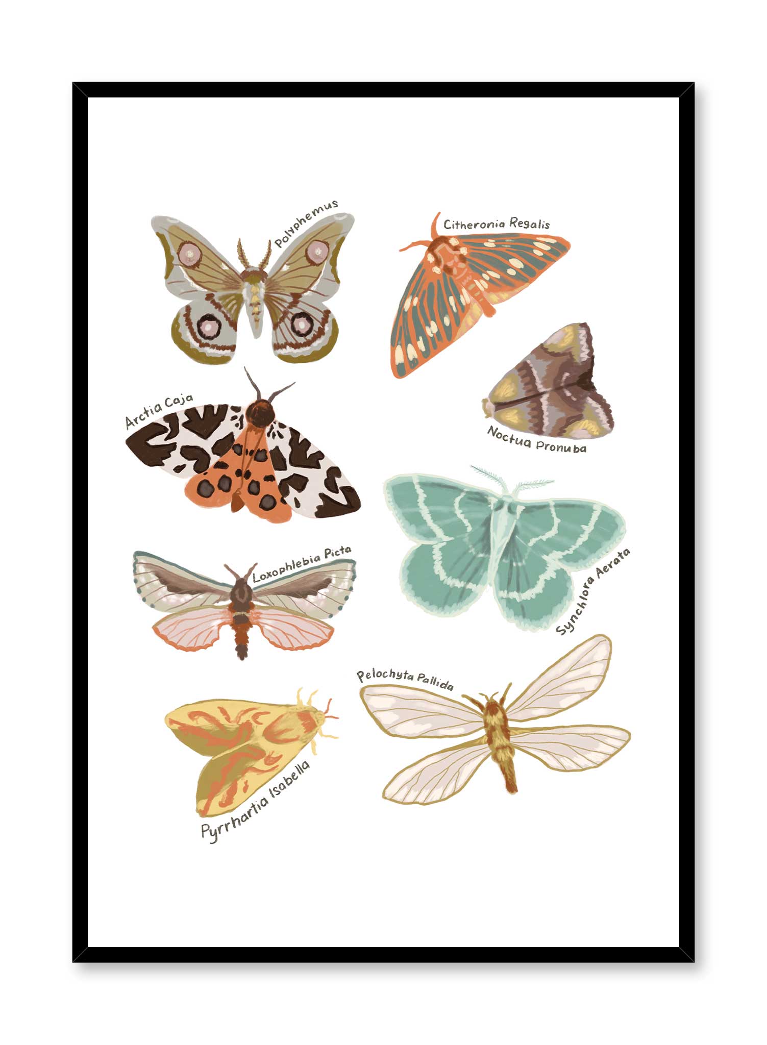 Butterflies Wall Art Poster - Vintage Butterfly Prints for Home Decor, Living Room, Bedroom & Office
