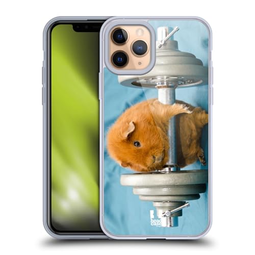 Weightlifter Guinea Pig