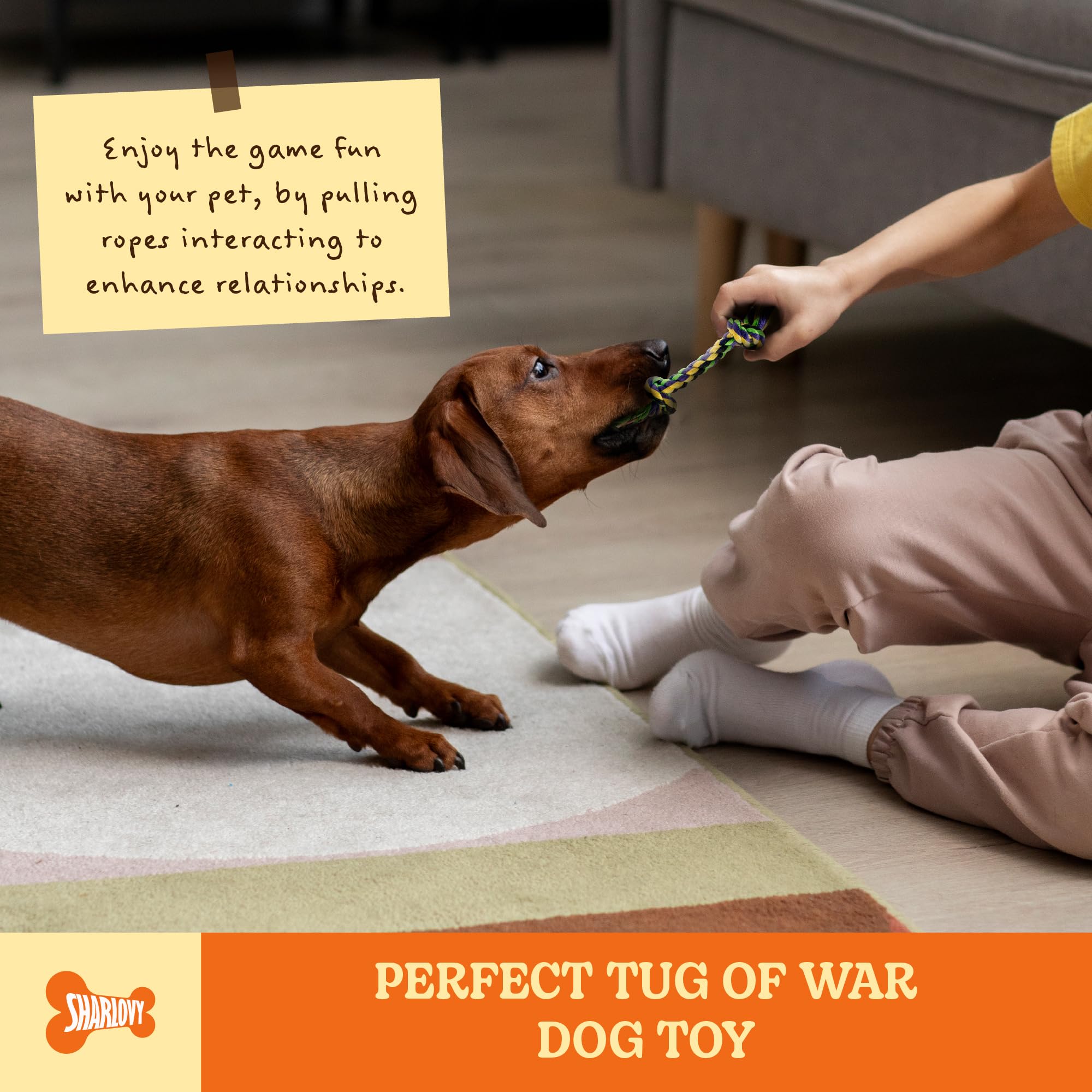 Durable 5-Pack Puppy Teething Toys for Small Dogs – Cotton Rope Chew Toys for Aggressive Chewers & Interactive Tug of War Play | Perfect for Puppy Training, Teething Relief & Bonding Time