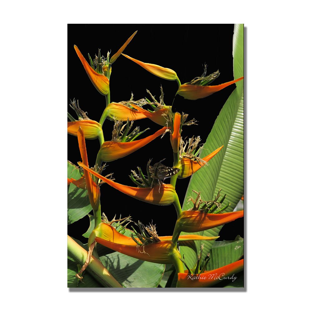 Trademark Fine Art Tropical Paradise Canvas Wall Art by Kathie McCurdy - 30x47 Inch Beach Landscape Painting for Living Room, Bedroom & Office Decor