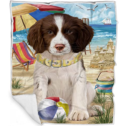 Pet Beach Puppy