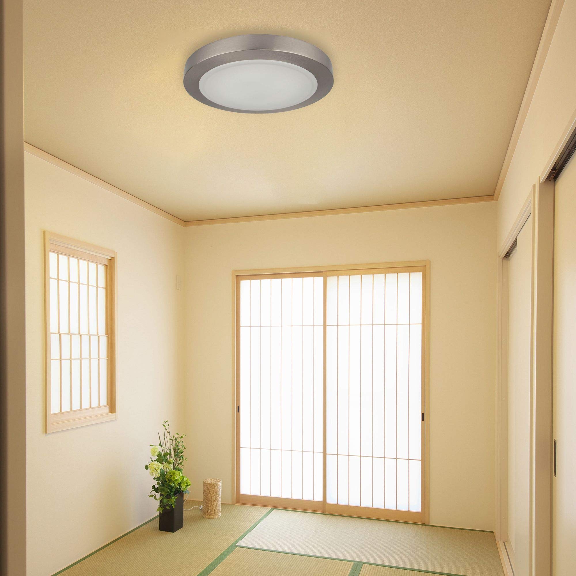 AA Warehousing 306044 Flush Mount Ceiling Light Fixture - Brushed Nickel Finish - Modern Lighting for Bedroom, Kitchen, Hallway & Closet