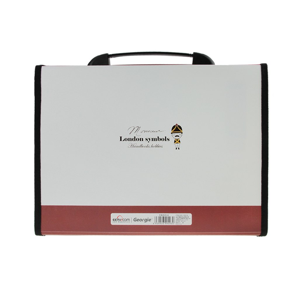 A4 Size 13-Compartment Plastic File Organizer - Expandable Document Holder with Flap Cover, London Style Office Bag - Perfect for Home, Office & School Organization