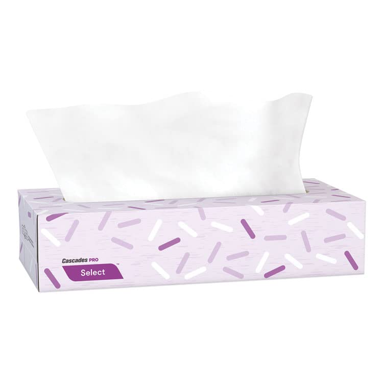Premium 2-Ply White Facial Tissues - 100 Sheets per Box, 30 Boxes per Carton | Soft Flat Box Tissues for Home, Office & Travel | Bulk Tissue Supply for Daily Use & Emergency Preparedness