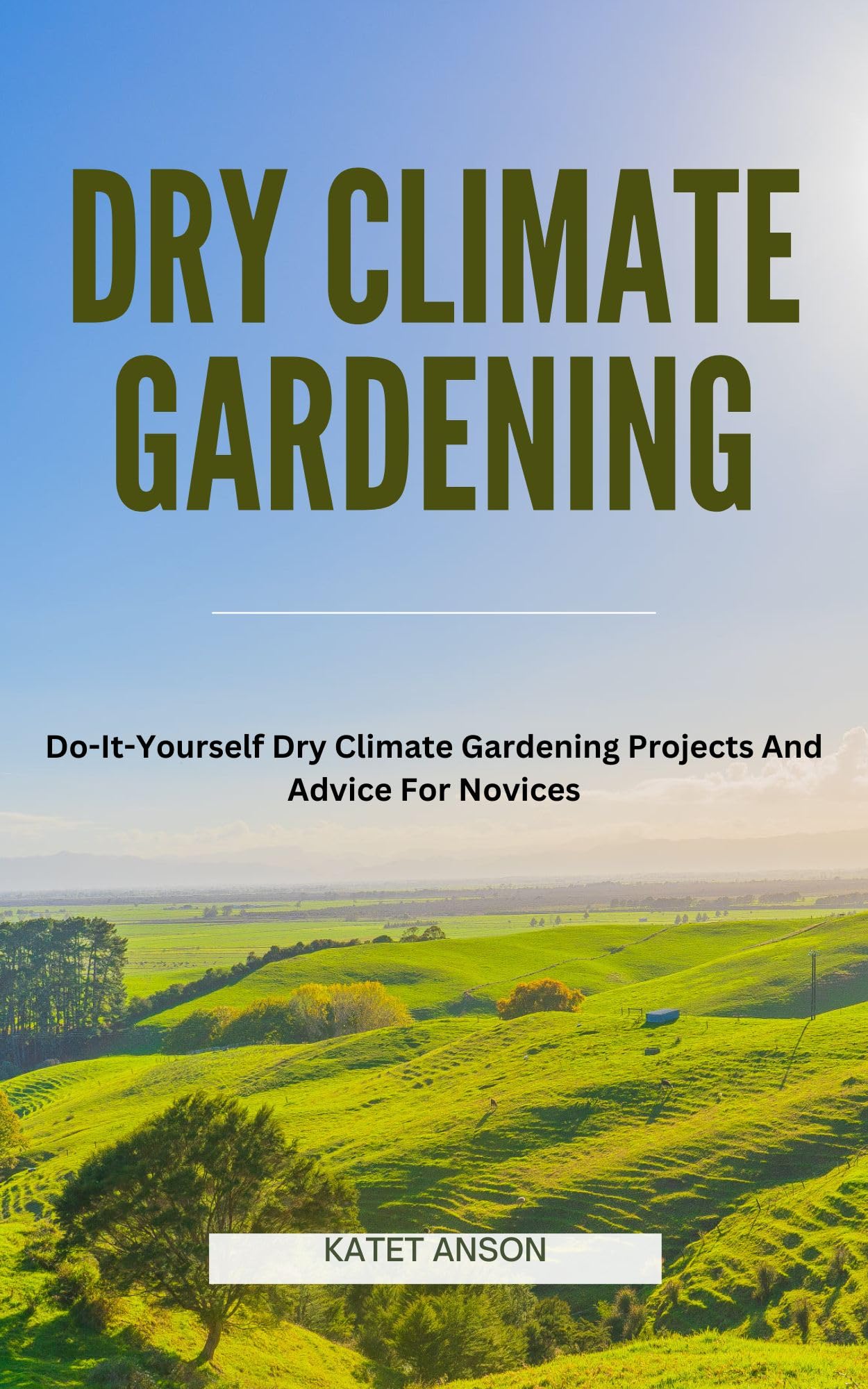 DIY Dry Climate Gardening Projects & Tips for Beginners | Expert Advice for Arid Landscapes | Perfect for Xeriscaping & Water-Wise Gardens