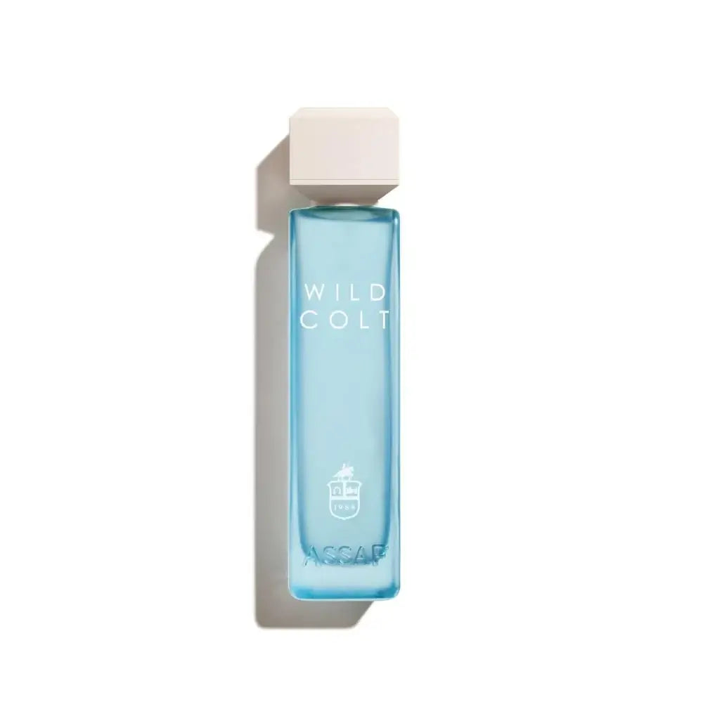 Wild Colt Eau De Parfum for Men - 200ml Long Lasting Fragrance | Fresh & Masculine Cologne for Daily Wear, Date Night & Special Occasions