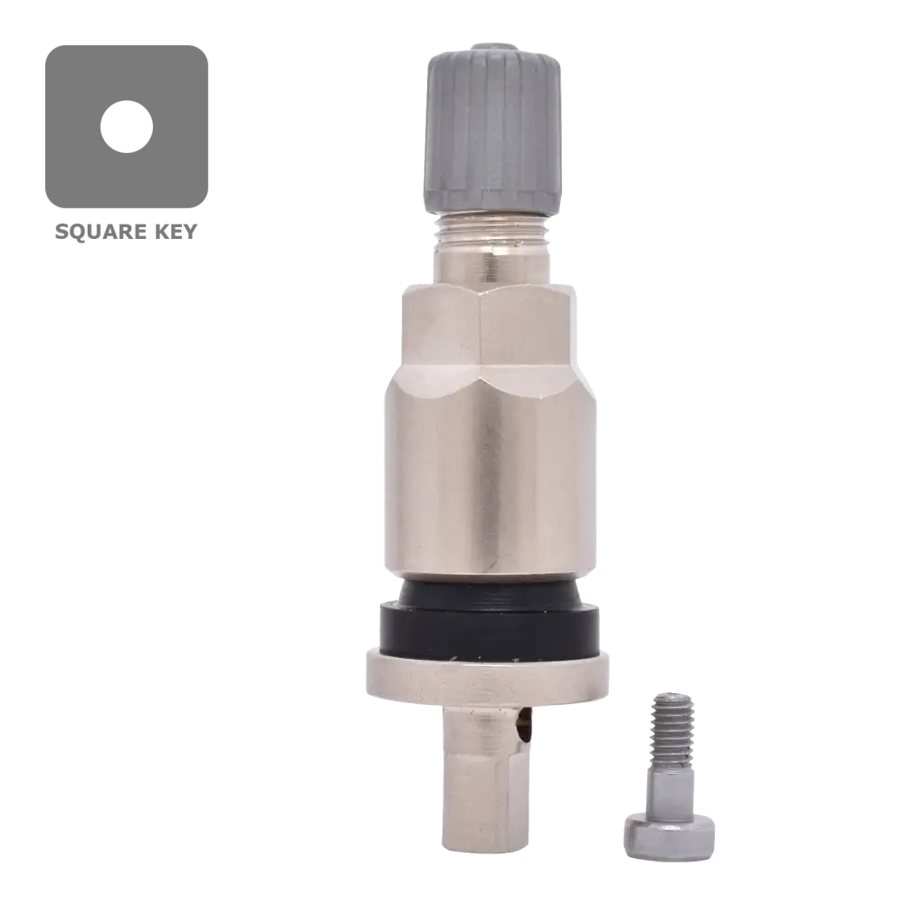 Dill VS240MC TPMS Metal Valve Stem Service Kit for Ford & Lincoln Vehicles - Easy Tire Pressure Monitoring System Repair for Trucks & SUVs