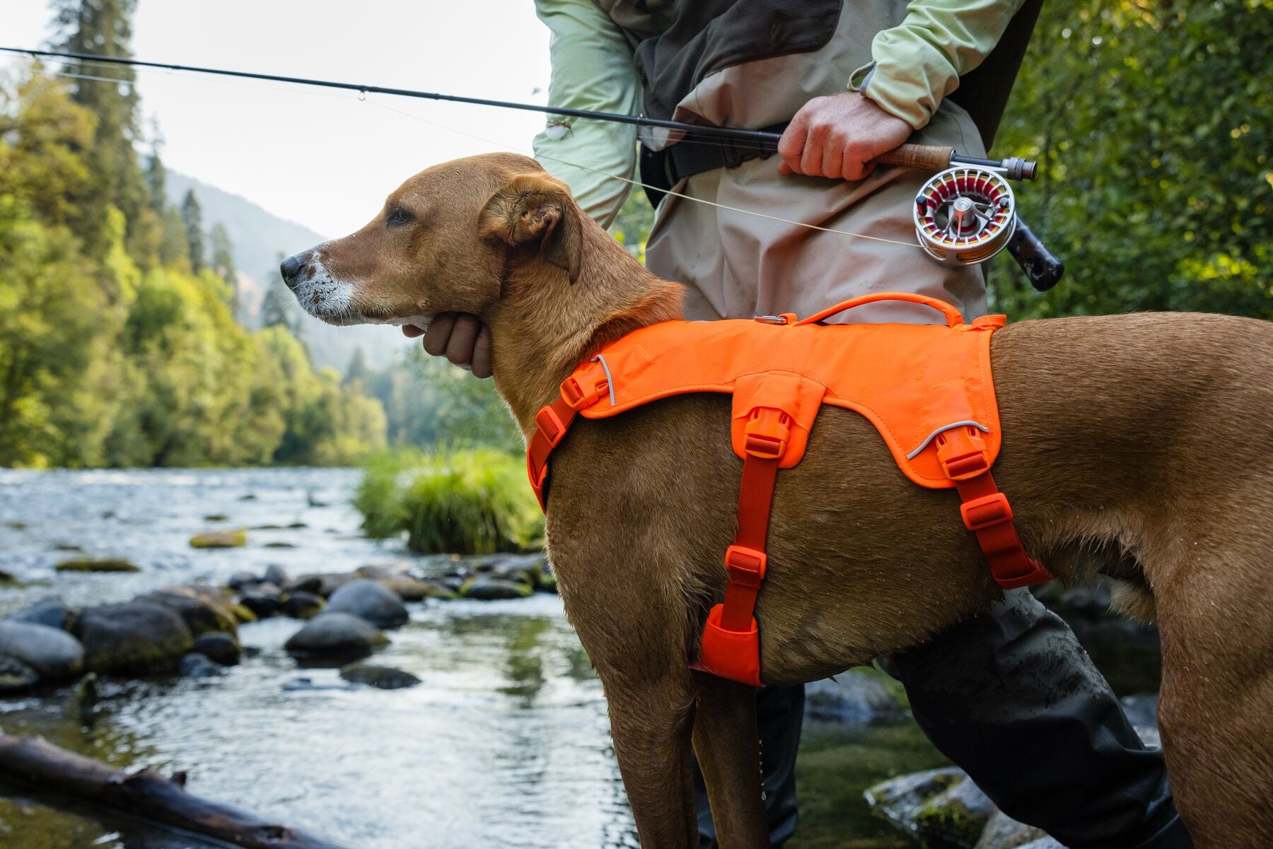Ruffwear® Web Master™ Multi-Purpose Harness with Handle & Anti-Pull System - River Rock Green - Perfect for Hiking, Running & Outdoor Adventures with Your Dog