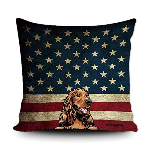 Cocker Spaniel-4
